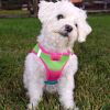 American River Choke Free Dog Harness