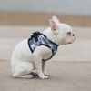 American River Choke Free Dog Harness