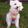 American River Choke Free Dog Harness