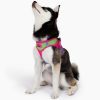 American River Choke Free Dog Harness