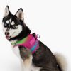 American River Choke Free Dog Harness