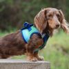 American River Choke Free Dog Harness