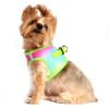 American River Choke Free Dog Harness