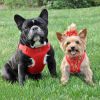 Wrap and Snap Choke Free Dog Harness